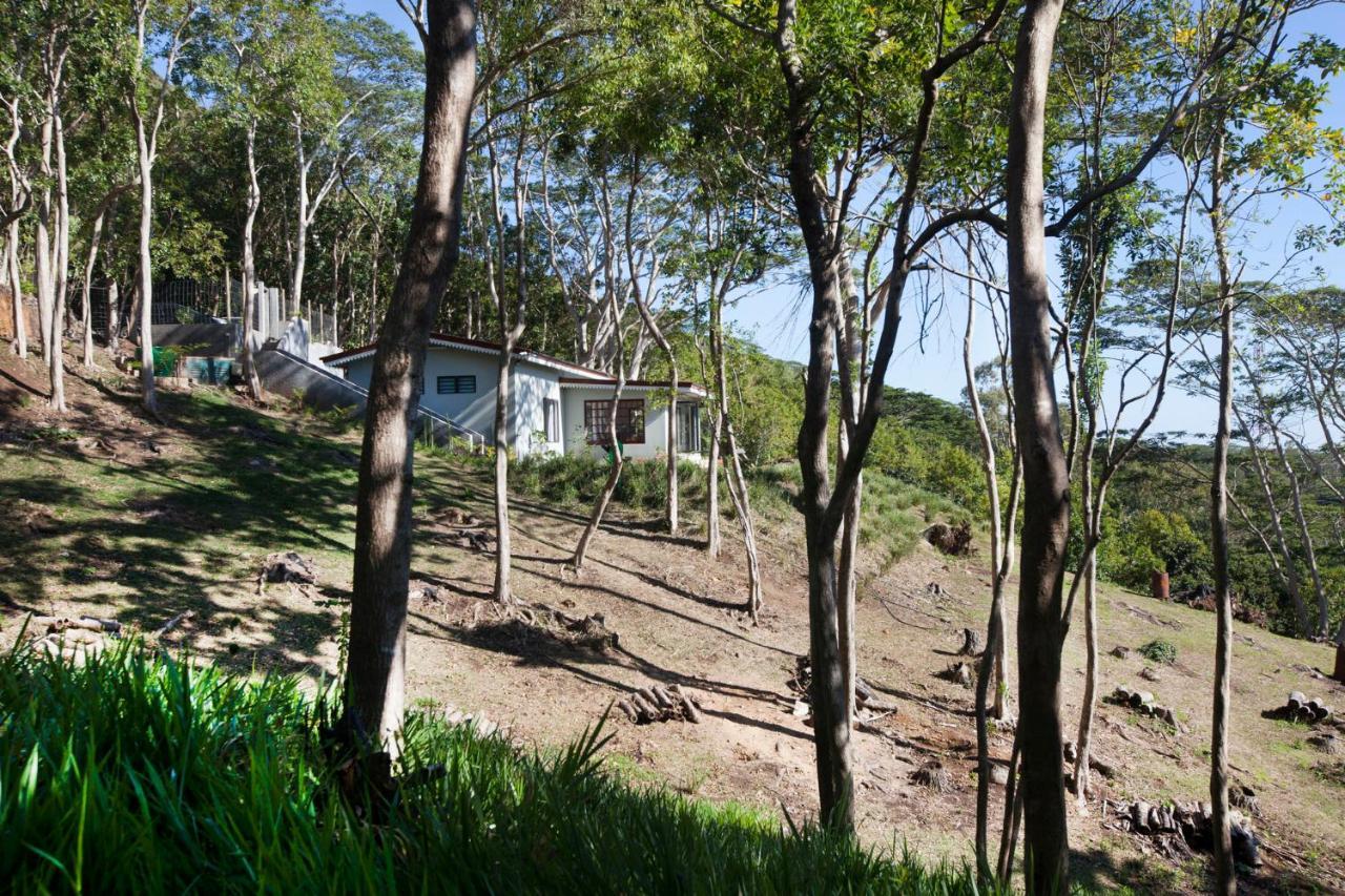Green Cottage شماريل المظهر الخارجي الصورة