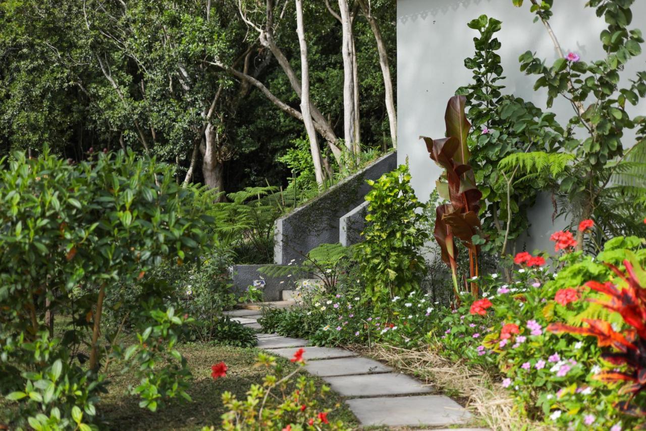 Green Cottage شماريل المظهر الخارجي الصورة