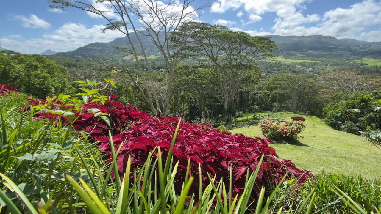 Green Cottage شماريل المظهر الخارجي الصورة