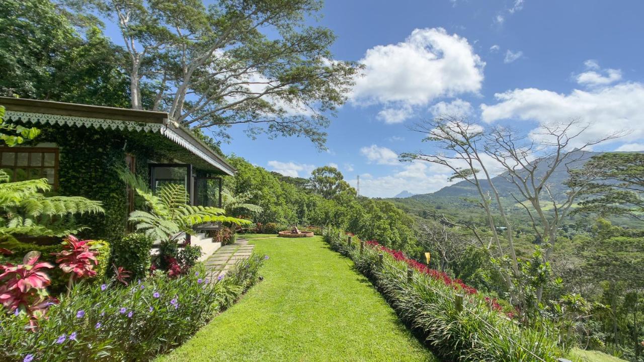 Green Cottage شماريل المظهر الخارجي الصورة