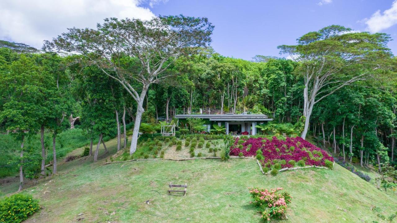 Green Cottage شماريل المظهر الخارجي الصورة