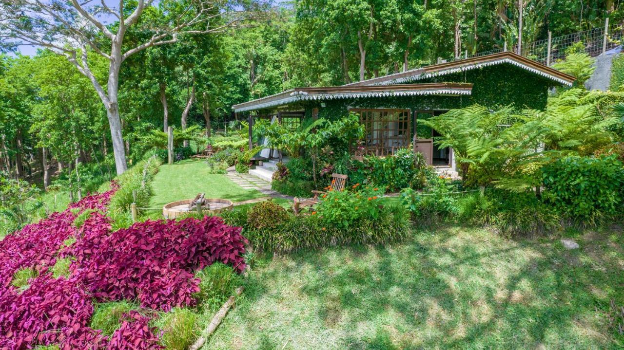 Green Cottage شماريل المظهر الخارجي الصورة