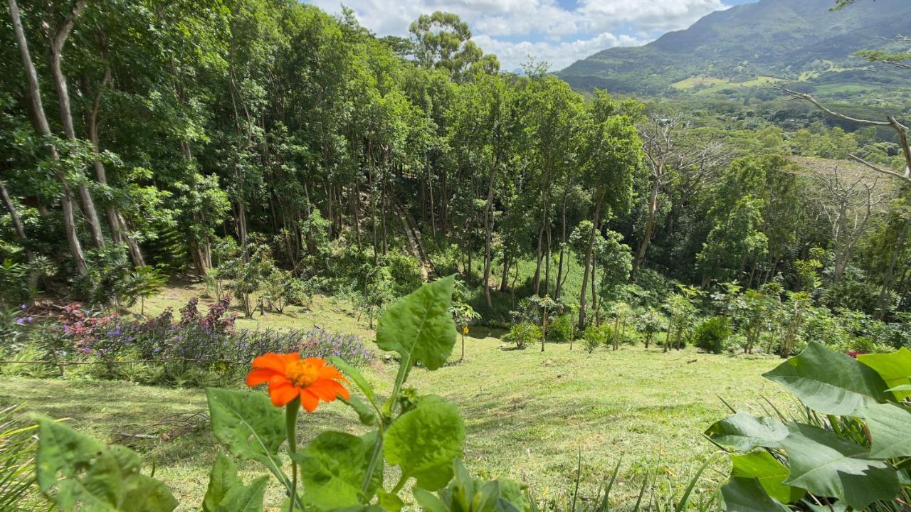 Green Cottage شماريل المظهر الخارجي الصورة