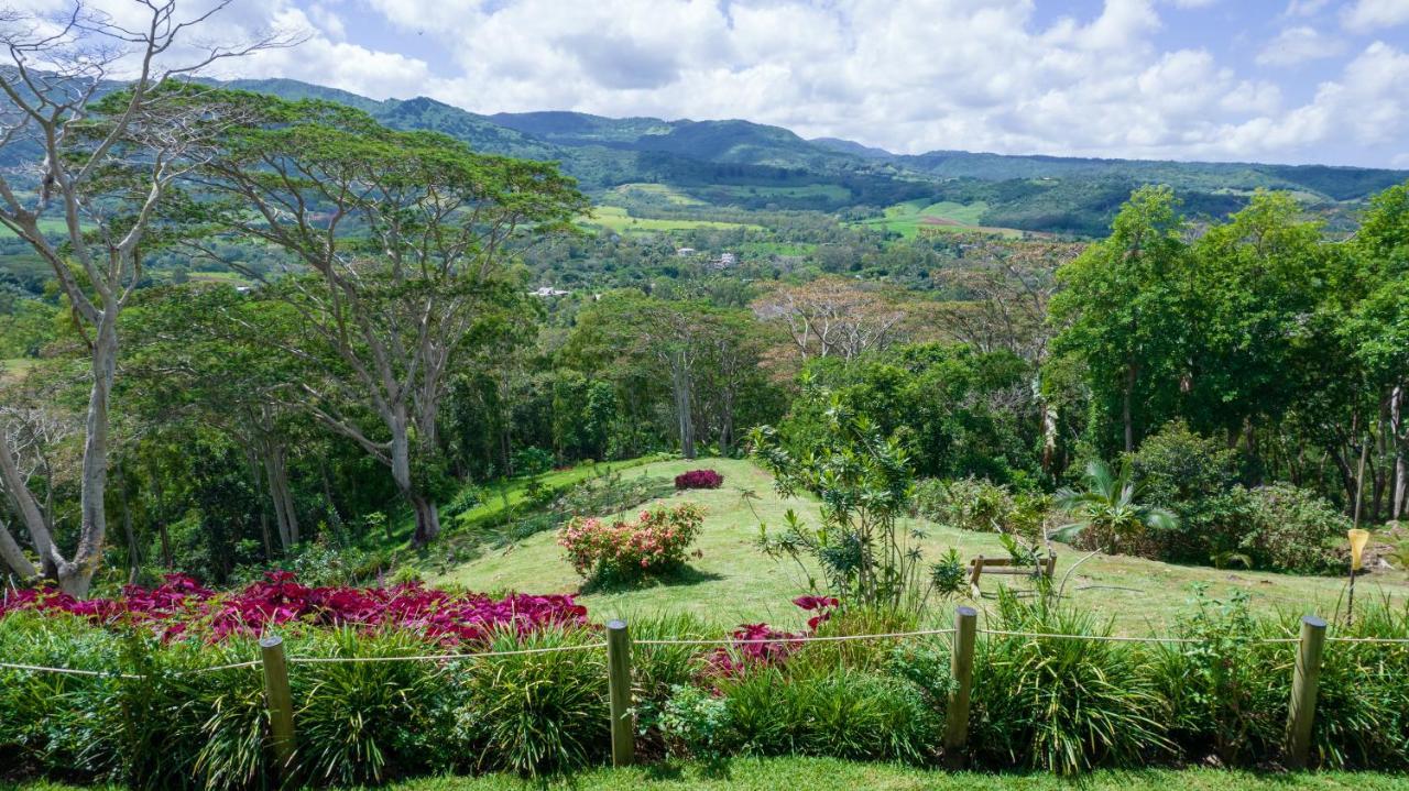 Green Cottage شماريل المظهر الخارجي الصورة