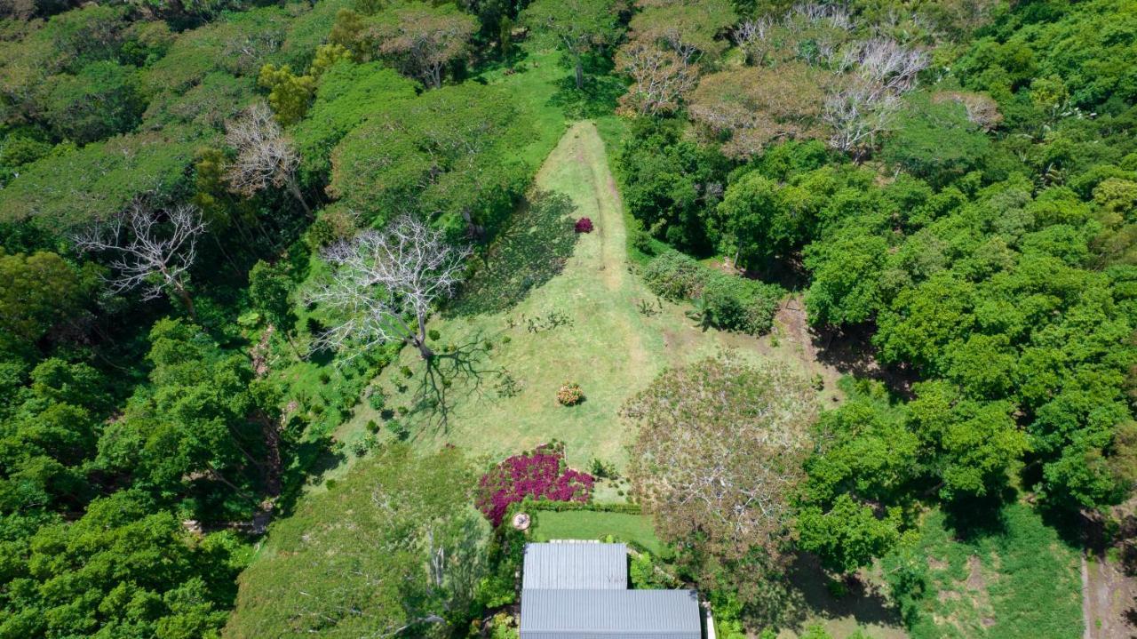 Green Cottage شماريل المظهر الخارجي الصورة