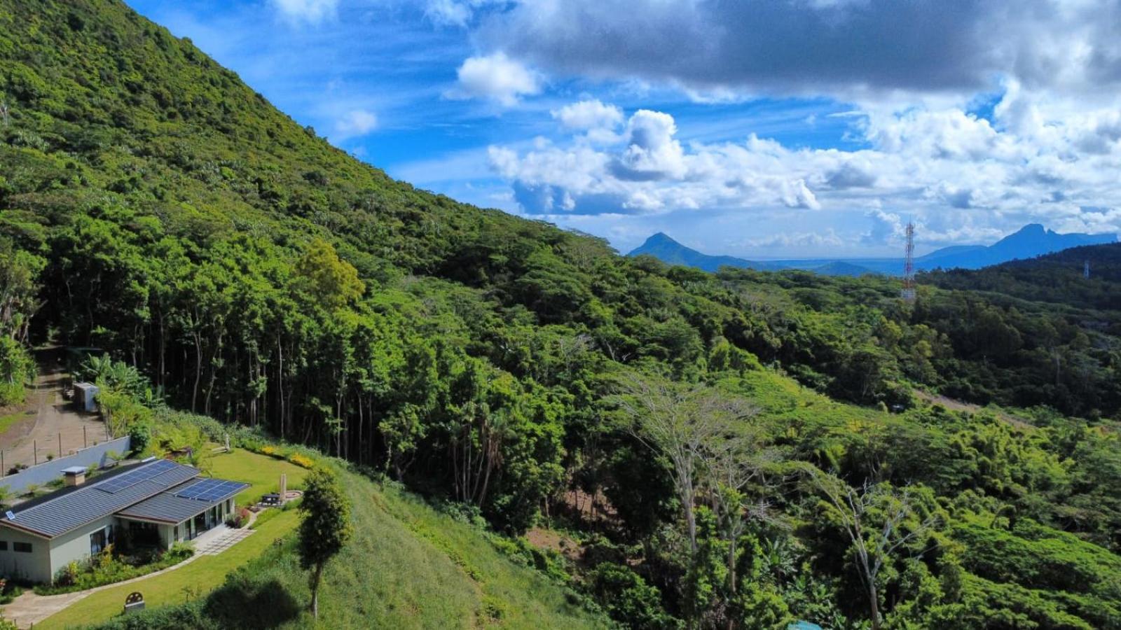 Green Cottage شماريل المظهر الخارجي الصورة